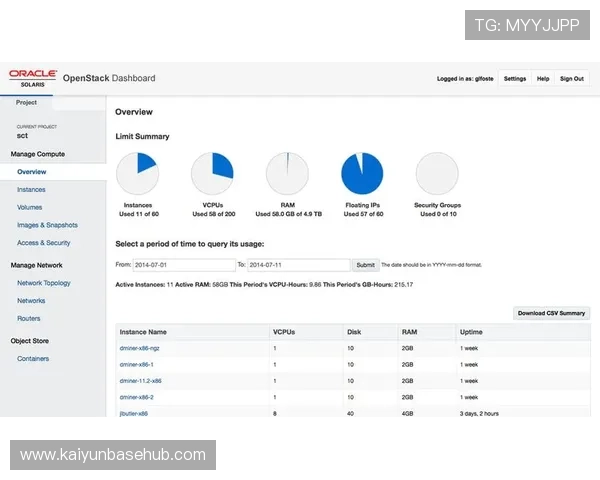 确保安全：开云登陆密码设置与管理技巧